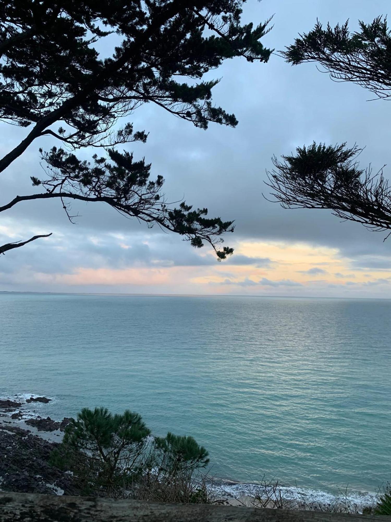 Appartement Moderne A Granville 55 M² Vue Sur Mer Dış mekan fotoğraf
